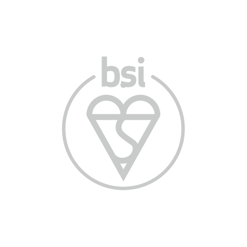 BSI